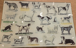 Antique and Vintage Dog Prints on Hand Blown Glass Objects