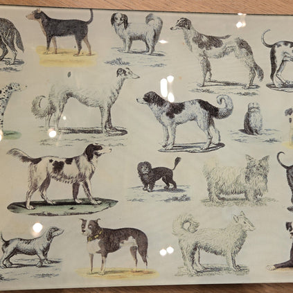 Antique and Vintage Dog Prints on Hand Blown Glass Objects