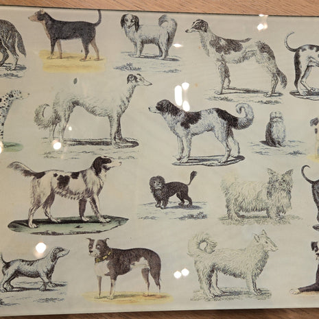 Antique and Vintage Dog Prints on Hand Blown Glass Objects