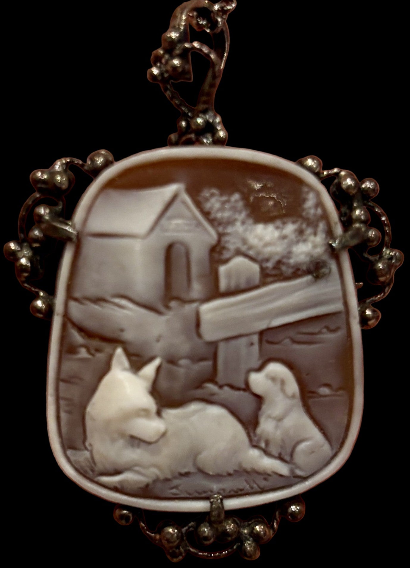 Sardonyx Shell Cameo Jewelry