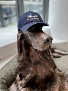 Embroidered Navy Logo Hat