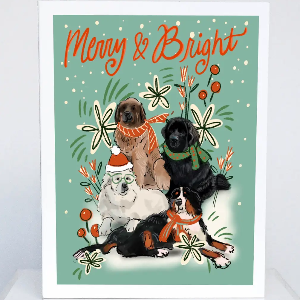 Holiday Greeting Card 10 Packs & Individuals