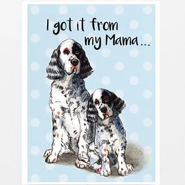 Dog Themed Greeting Cards for Multiple Occasions