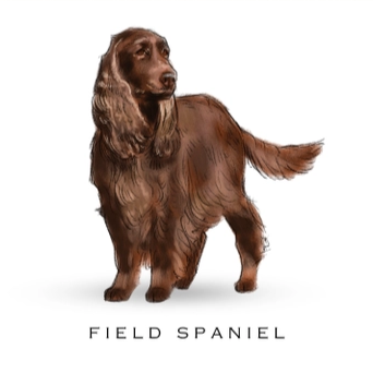 Breed Note Cards - Over 30 Breeds Offered!