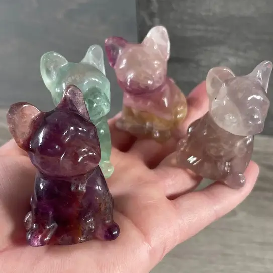 Fluorite French Bulldog