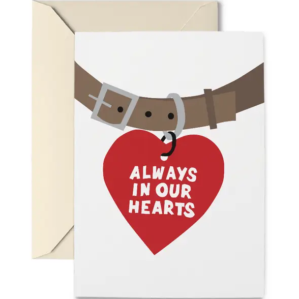 Bold and Colorful Dog Themed Greeting Cards