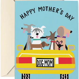 Bold and Colorful Dog Themed Greeting Cards