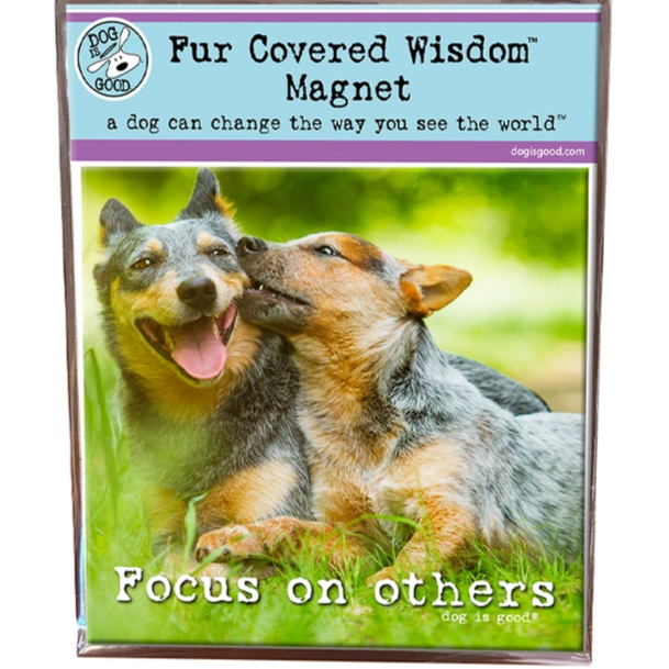 Oval and Square Magnets