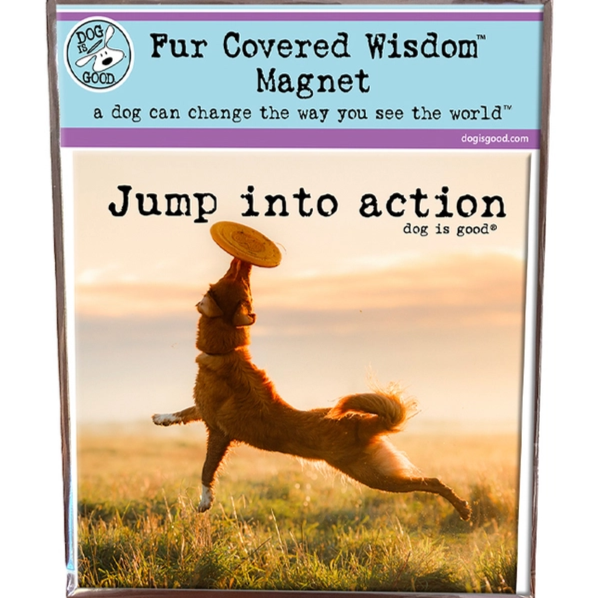 Oval and Square Magnets