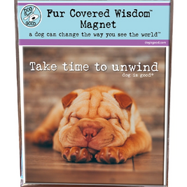 Oval and Square Magnets