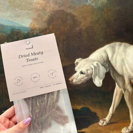 Premium and Innovative Handmade Dog Treats