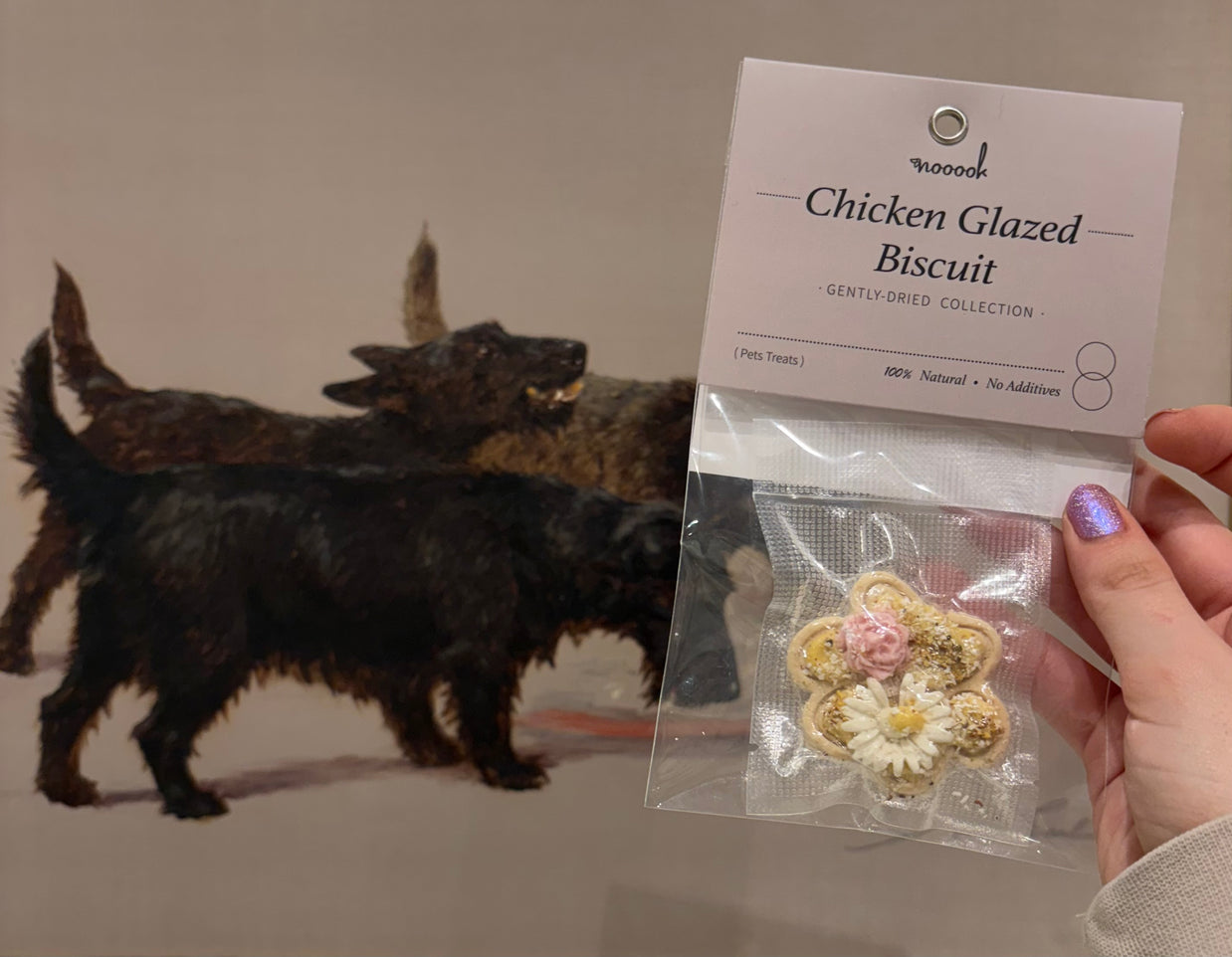 Premium and Innovative Handmade Dog Treats