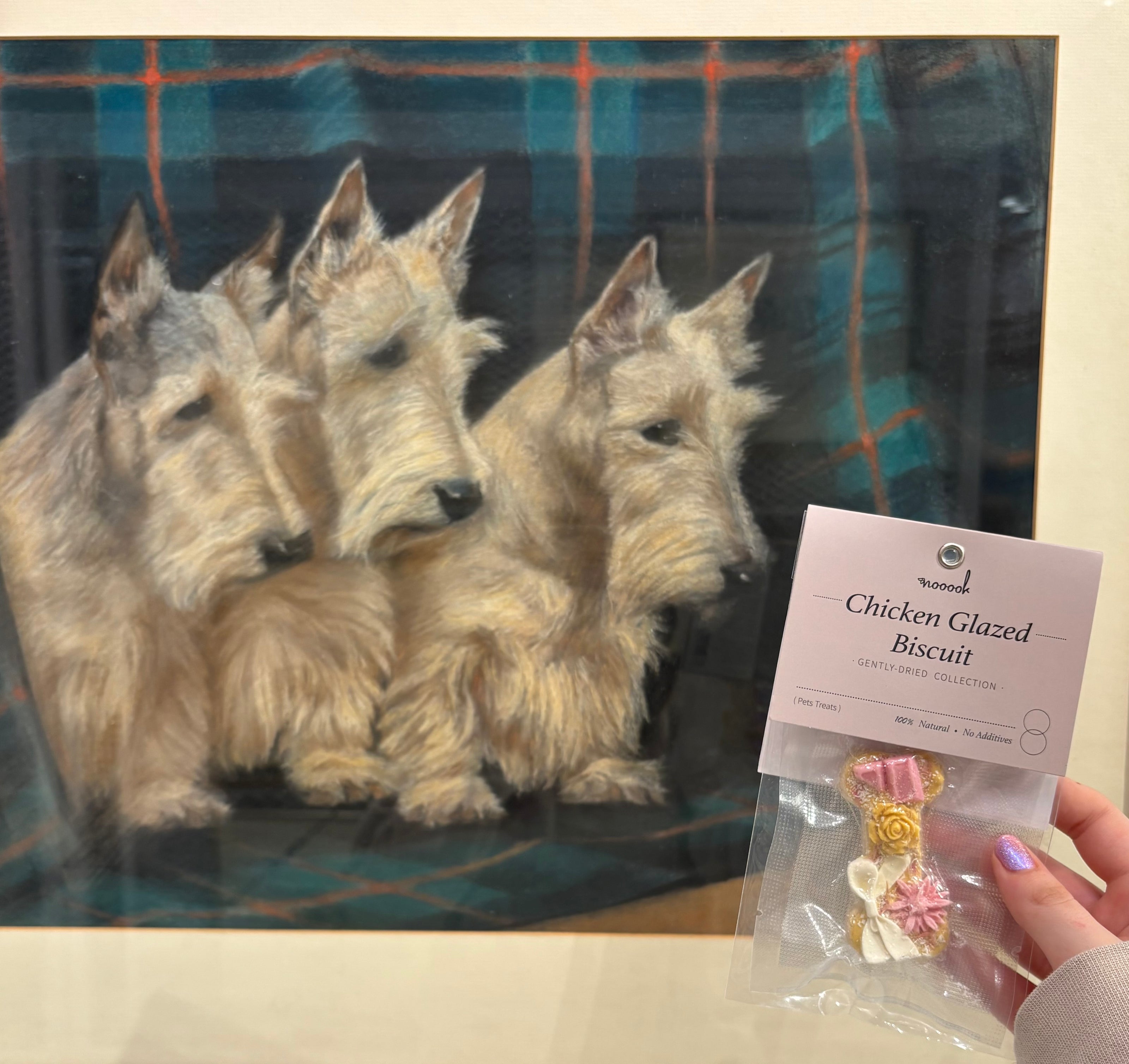 Premium and Innovative Handmade Dog Treats