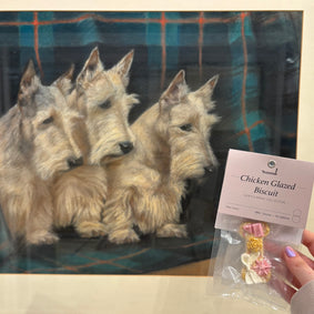 Premium and Innovative Handmade Dog Treats