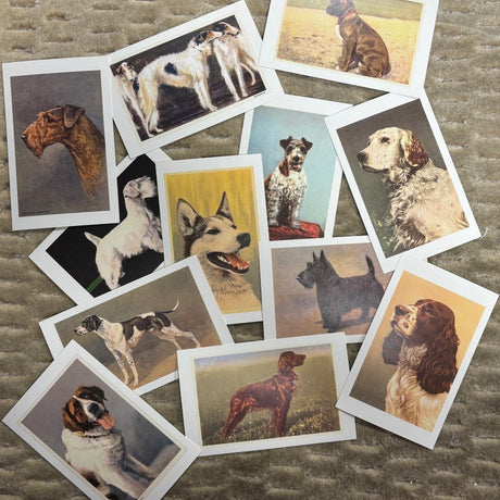 Vintage Breed Specific Print Postcard Pack