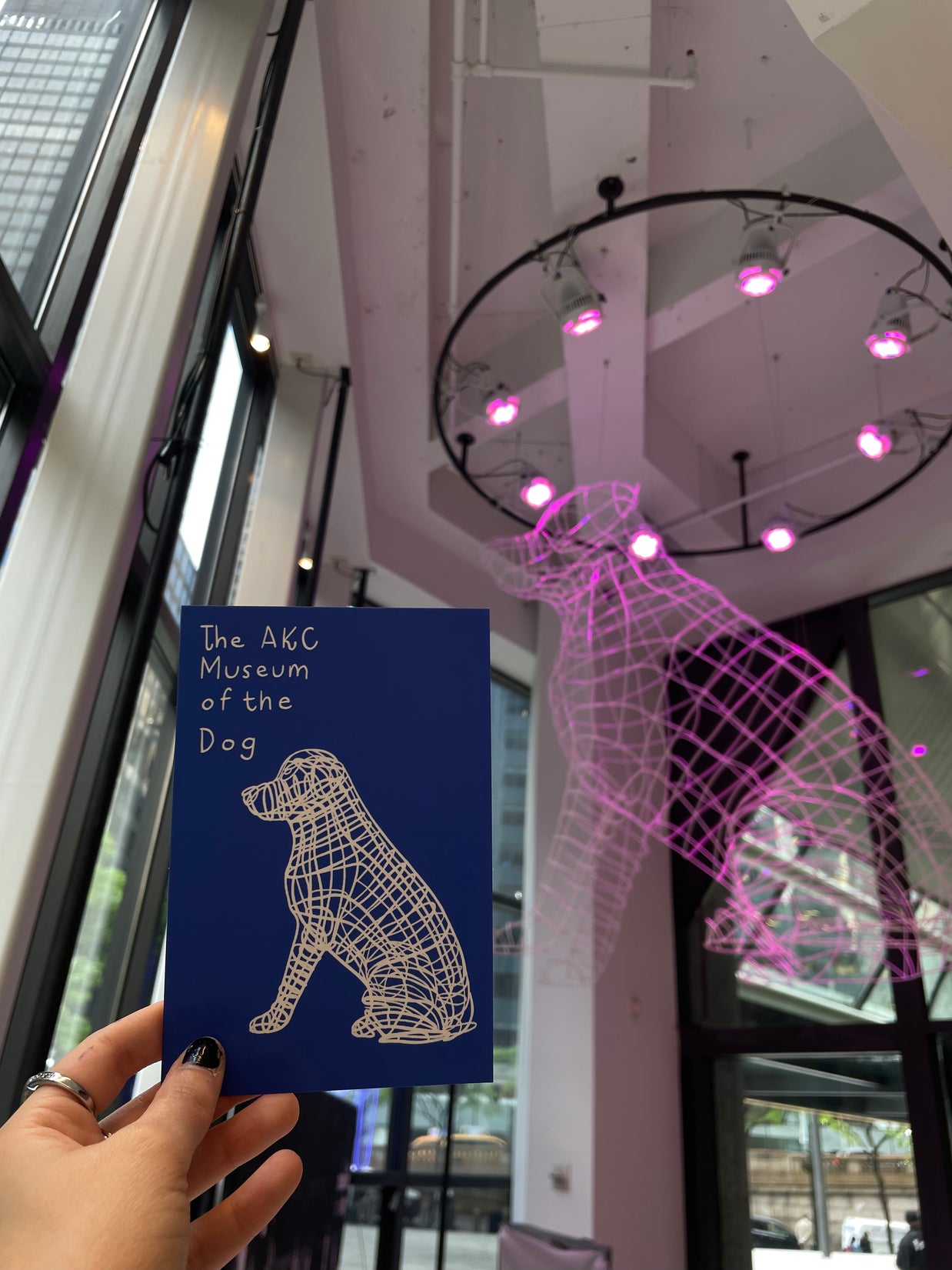 Museum Exclusive Postcards