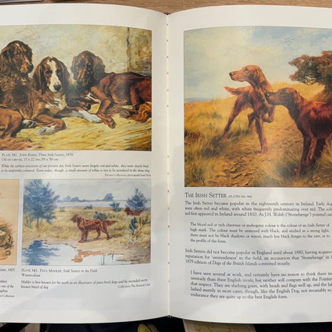 Dog Painting: The European Breeds by William Secord