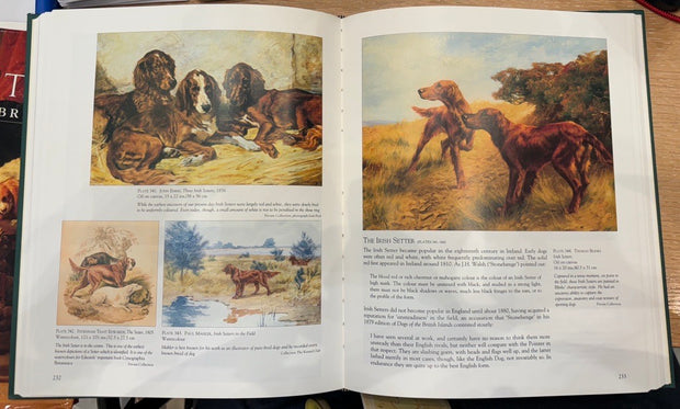 Dog Painting: The European Breeds by William Secord
