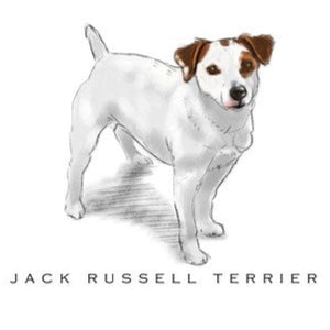 Breed Note Cards - Over 30 Breeds Offered!