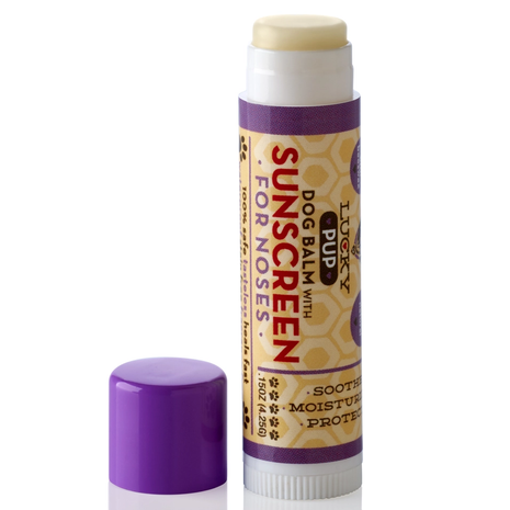 Dog Butter, Balm, and Sunscreen