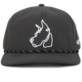 Various Breed Snapbacks
