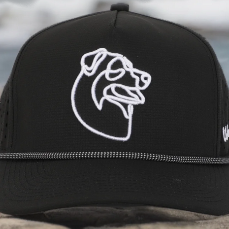 Various Breed Snapbacks