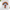 Dog Themed Greeting Cards for Multiple Occasions