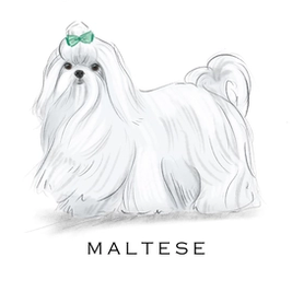 Breed Note Cards - Over 30 Breeds Offered!