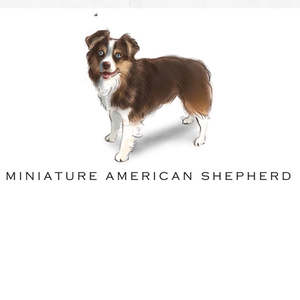 Breed Note Cards - Over 30 Breeds Offered!