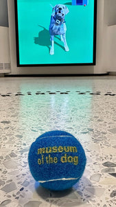 Museum of the Dog Tennis Ball