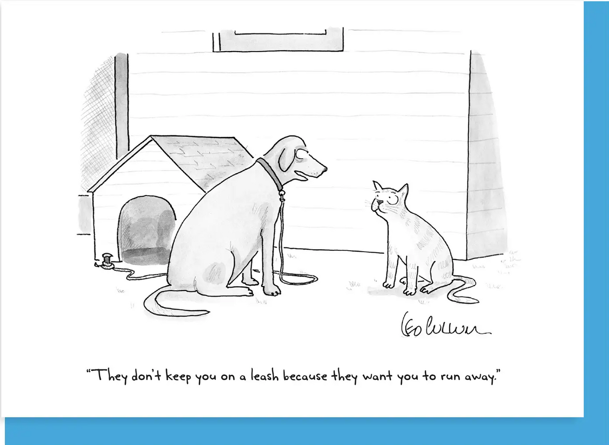 New Yorker Cartoon Greeting Cards