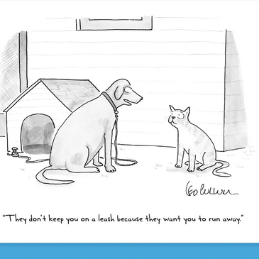 New Yorker Cartoon Greeting Cards