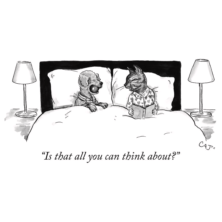 New Yorker Cartoon Greeting Cards