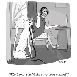 New Yorker Cartoon Greeting Cards