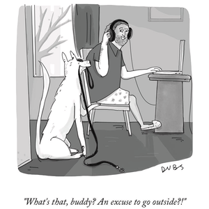 New Yorker Cartoon Greeting Cards