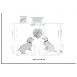 New Yorker Cartoon Greeting Cards