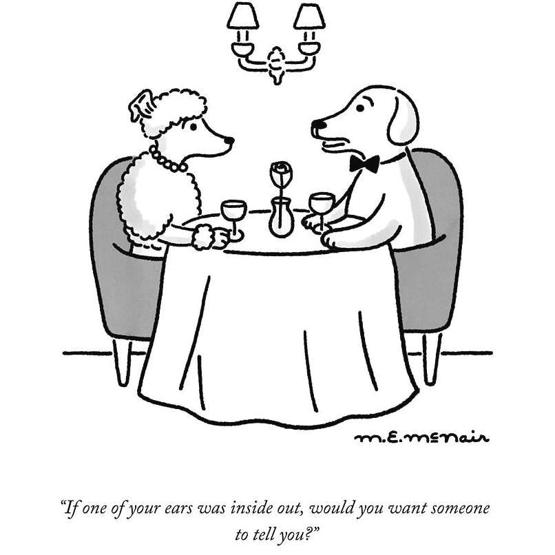 New Yorker Cartoon Magnets