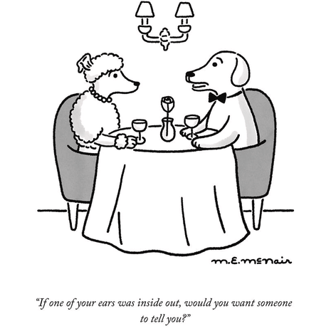 New Yorker Cartoon Magnets