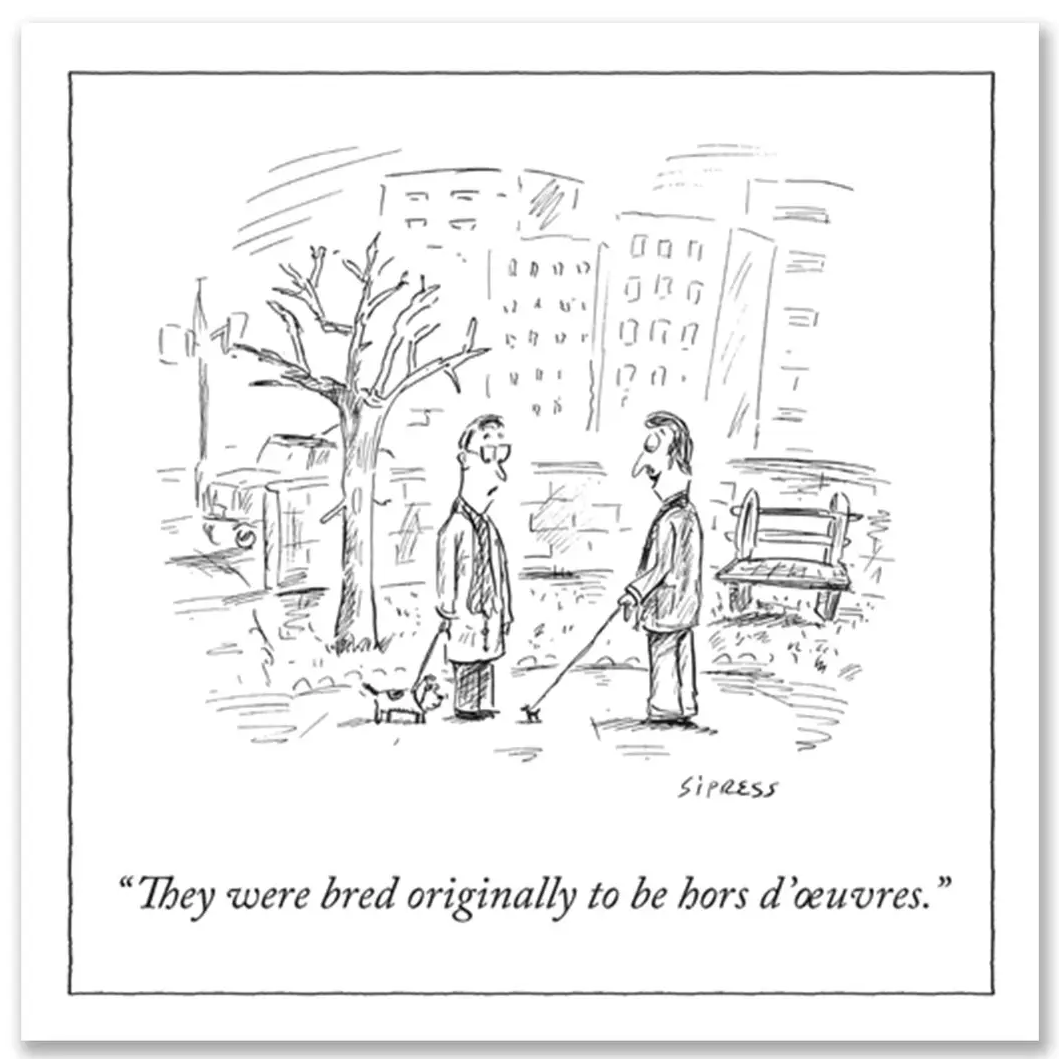 New Yorker Cartoon Magnets