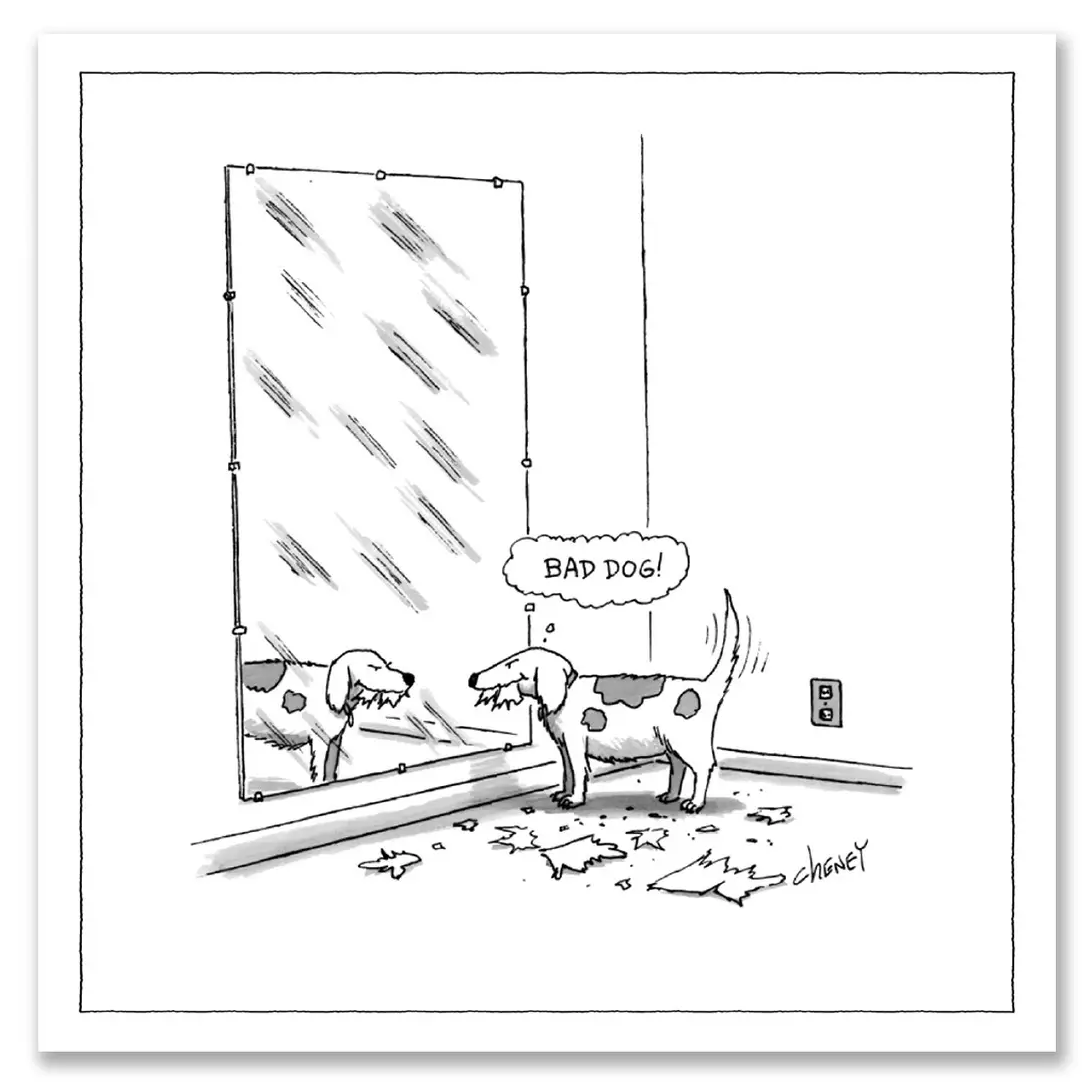 New Yorker Cartoon Magnets