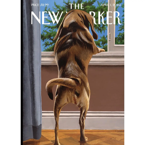 New Yorker Magazine Cover Greeting Cards