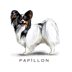 Breed Note Cards - Over 30 Breeds Offered!