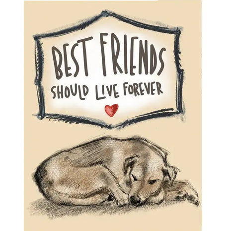 Dog Themed Greeting Cards for Multiple Occasions