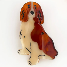 Load image into Gallery viewer, Adorable Acetate Hair Claws
