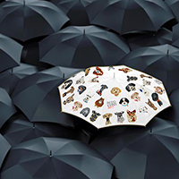 Full Color Umbrella by Reed Evins Art