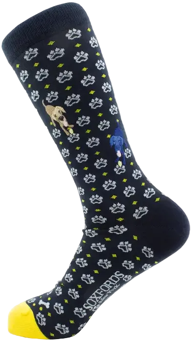 Men's Fine Socks