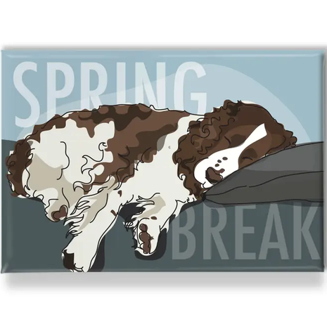 Dog Breed Fridge Magnets