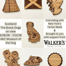 Hand Designed Bamboo Magnet Collection by Scottish Artist