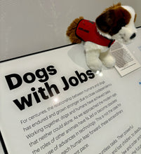 Load image into Gallery viewer, Museum of the Dog Search &amp; Rescue Vest for Douglas Cuddle Toys
