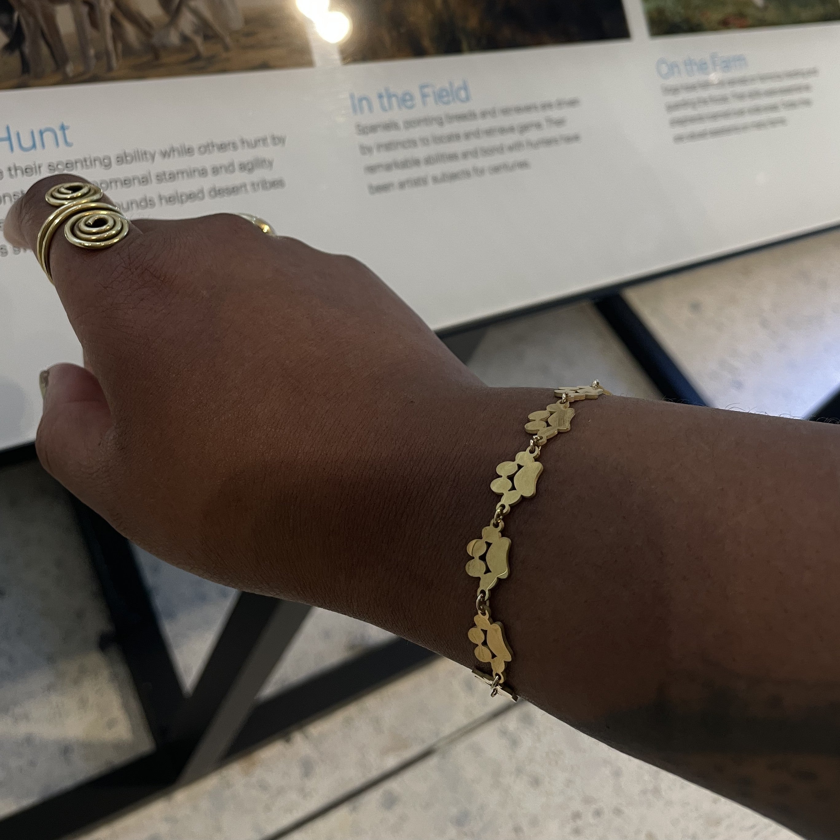 Seven Paws Bracelet